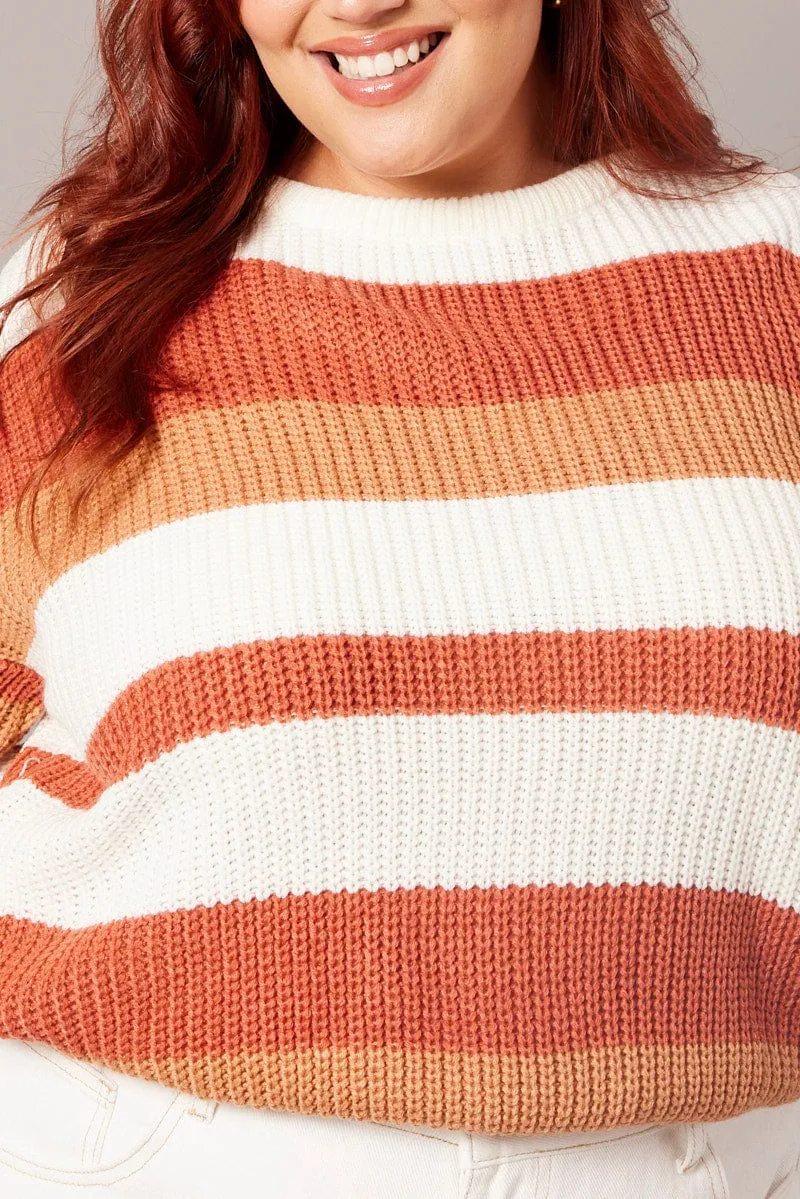 Brown Stripe Stripe Knit Jumper Long Sleeve Round Neck