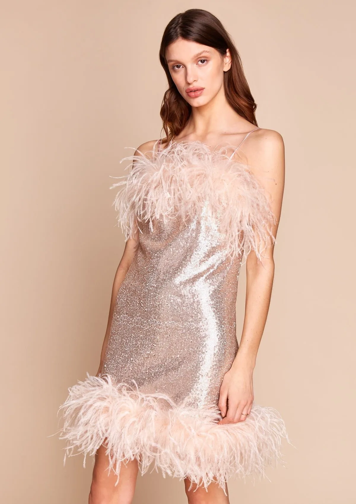 Seraphina Sequin and Feather Dress